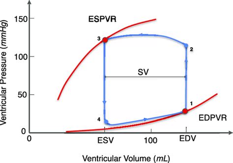 edpvr and espvr